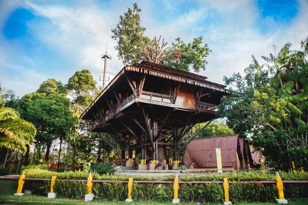 Casa da Árvore